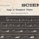 Illustration for article titled Why Whale Songs Are Still One Of Sciences Greatest Mysteries